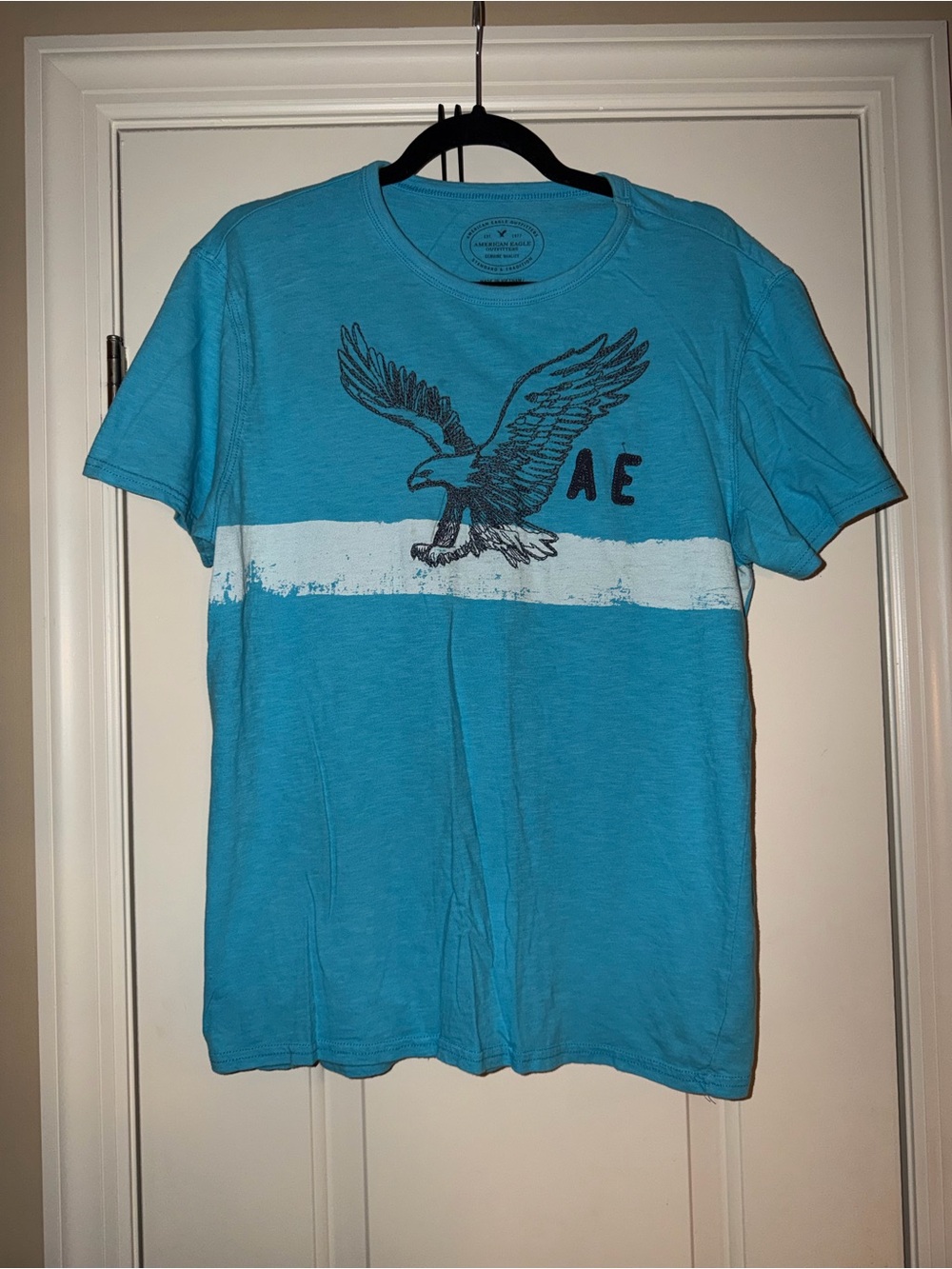 American Eagle Outfitters Turquoise Short-Sleeve Eagle Graphic Tee